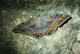 DSC02245.jpg