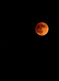Blood Red Moon 09/27/2015 DSC02264.jpg