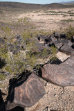 DSC03458.jpg