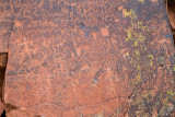 DSC04810.jpg