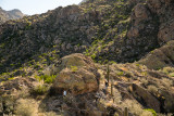 DSC05349.jpg