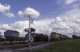 Burlington Northern Santa Fe Egine 8168 approaches a crossing, in Coupland, TX, pulling three engines and 80 freight cars