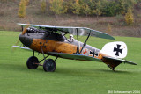 Albatros