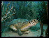 P7100666_.jpg