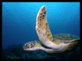 P7100686_.jpg