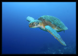P7110902_.jpg