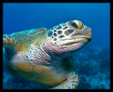 P7110906_.jpg