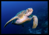 P7110914_.jpg