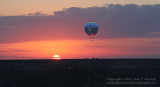Egret Sunrise - IMG_3256.JPG