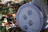 Paw Prints - IMG_5798.JPG