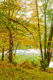 autumns