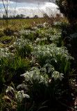 Burton Agnes Hall IMG_1347-1.jpg