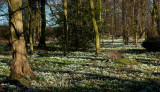 Burton Agnes Hall IMG_1350-1.jpg