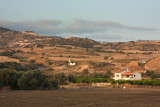 IMG_8642.jpg