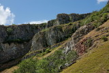 IMG_5594.jpg