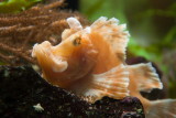 IMG_6622.jpg
