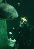 IMG_9784.jpg