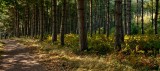 IMG_7247.jpg