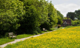 Beverley Westwood IMG_1348.jpg