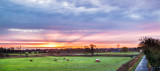 Beverley IMG_8712.jpg