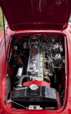 Austin Healey, Beverley Airshow IMG_4129.jpg