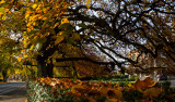 Beverley IMG_6492.jpg