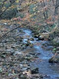 Cherokee Indian Reservation Area