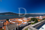 Caminha