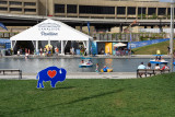 20160730_Canalside_Canals_web-128093.jpg