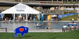 20160730_Canalside_Canals_web-128095.jpg
