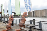 20161008_Canalside_Fallfest_web-104953.jpg