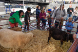 20161008_Canalside_Fallfest_web-105225.jpg