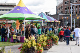 20161008_Canalside_Fallfest_web-105288.jpg