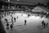 20161203_Canalside_Tree_web-129729.jpg