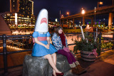 20161203_Canalside_Tree_web-129749.jpg
