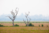 IMG_4498-2.JPG