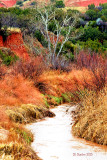 canyon stream