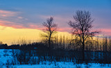 _SDP7788.jpg Just west of Wetaskiwin