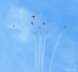 Snowbirds will fly Camrose skies for Big Valley Jamboree