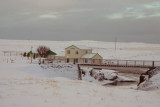 Lundur við Hítará