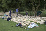 Dry stone wall building