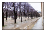 Paris - Palais Royal - Février 2016 - 9326