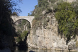 Selge December 2013 5049.jpg