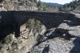 Selge December 2013 5072.jpg