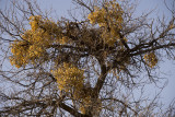 Love Valley november 2014 4480.jpg