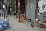 Istanbul near and on Istiklal Caddesi 2015 0298.jpg