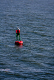 40D_13007_LR