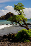 Alau Island Seabird Sanctuary