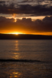 40D_14490_LR