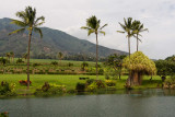 Maui Tropical Plant'nation